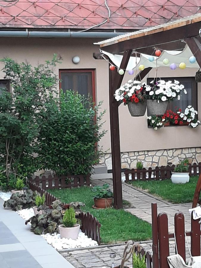 Apartment Bobita Haza Eplény